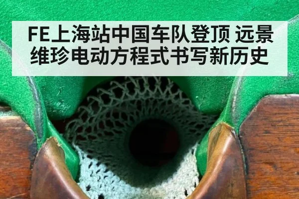 FE上海站中国车队登顶 远景维珍电动方程式书写新历史